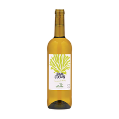 2022 Sous L'Ocean Sauvignon Blanc