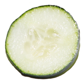 Cucumber