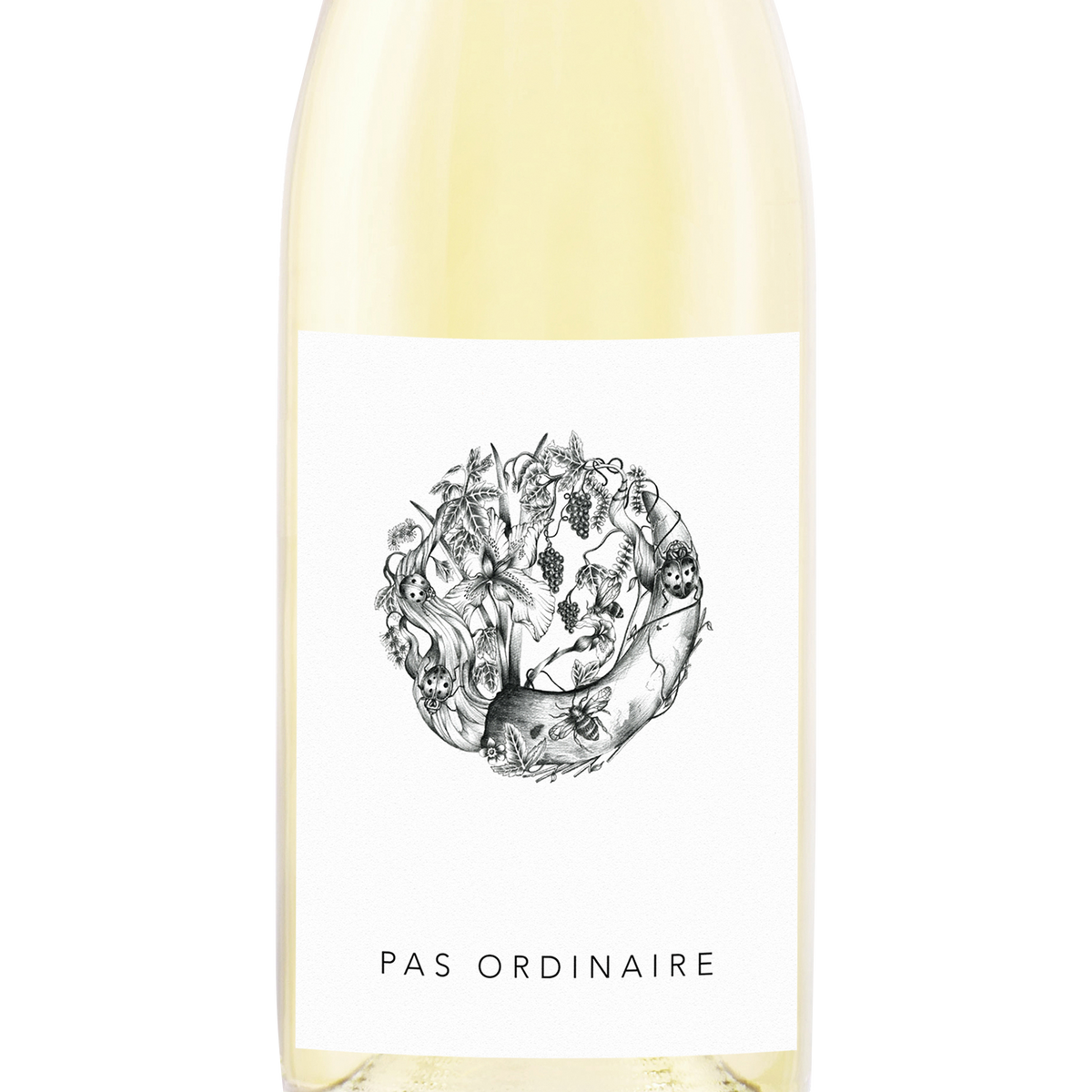 2021 Pas Ordinaire White Wine Blend