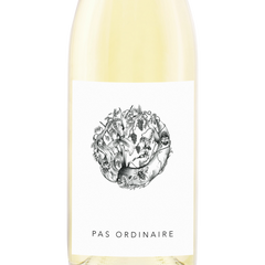 2021 Pas Ordinaire White Wine Blend